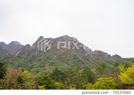 Soraksan, Sokcho, Gangwon-do 70555660