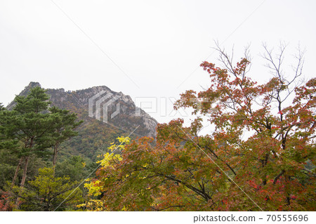 Soraksan, Sokcho, Gangwon-do 70555696