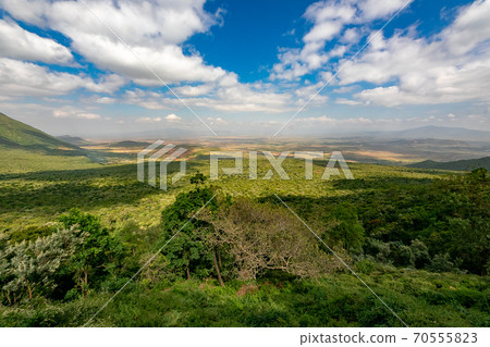 穿越非洲大陸的大提谷(Great Lift Valley)在前往肯尼亞馬賽馬拉國家野生動物保護區的途中 穿越非洲大陸的大提谷(Great Lift Valley)在前往肯尼亞馬賽馬拉國家野生動物保護區的途中 70555823