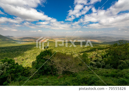 穿越非洲大陸的大提谷（Great Lift Valley）在前往肯尼亞馬賽馬拉國家野生動物保護區的途中 70555826
