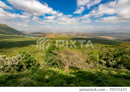 穿越非洲大陸的大提谷(Great Lift Valley)在前往肯尼亞馬賽馬拉國家野生動物保護區的途中 穿越非洲大陸的大提谷(Great Lift Valley)在前往肯尼亞馬賽馬拉國家野生動物保護區的途中 70555833