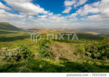 穿越非洲大陸的大提谷(Great Lift Valley)在前往肯尼亞馬賽馬拉國家野生動物保護區的途中 穿越非洲大陸的大提谷(Great Lift Valley)在前往肯尼亞馬賽馬拉國家野生動物保護區的途中 70555839
