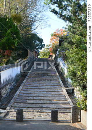 櫃檯的坡度（大分縣Kitsuki市Kitsuki城堡城/ Kitsuki） 70557239