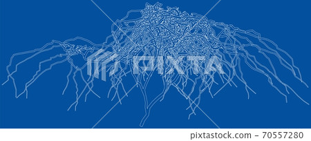 Outline a dried shrub without leaves 70557280