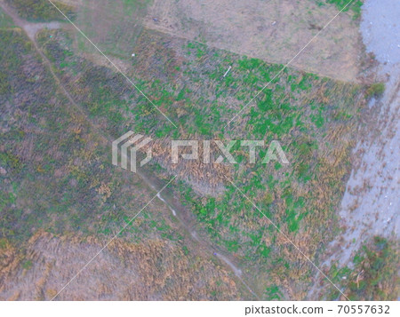 Riverbed of the Tama River looking down from directly above-Aerial view with a drone (Hino City, Tokyo) Riverbed of the Tama River looking down from directly above-Aerial view with a drone (Hino City, Tokyo) 70557632