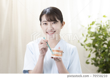 Dental hygienist with tooth model and toothbrush Dental hygienist with tooth model and toothbrush 70558210