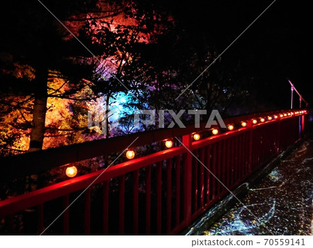 Sadayamakei照明 Sadayamakei照明 70559141