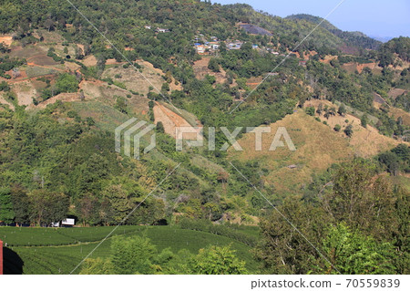 Satikhiri village in northern thailand: rural scenery 70559839