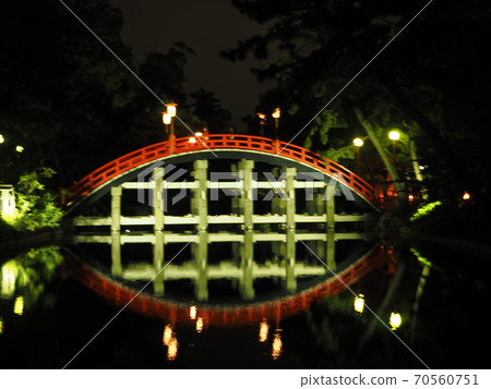 Upside down Sumiyoshi Taisha night view Upside down Sumiyoshi Taisha night view 70560751