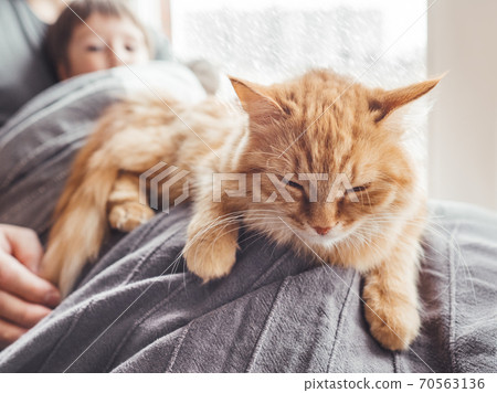Father, son and they's cute ginger cat sit on window sill. Family relax under blanket. Man, toddler boy and fluffy pet at cozy home while snow is falling outside. Father, son and they's cute ginger cat sit on window sill. Family relax under blanket. Man, toddler boy and fluffy pet at cozy home while snow is falling outside. 70563136