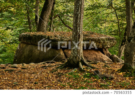 ancient megalith dolmen among trees in an autumn grove ancient megalith dolmen among trees in an autumn grove 70563355