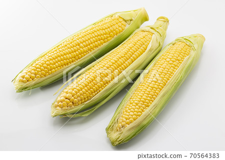 White background corn 70564383