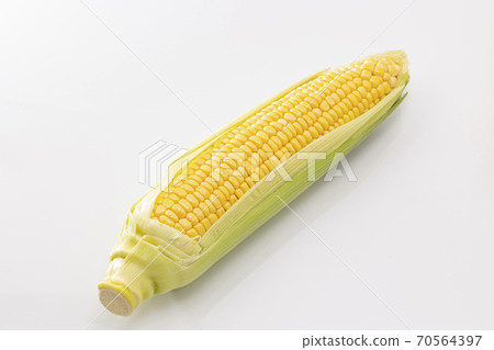 White background corn White background corn 70564397