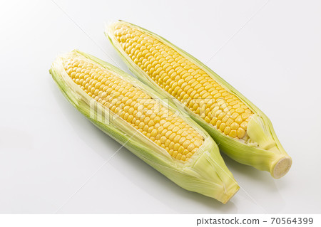 White background corn 70564399