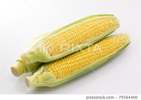 White background corn 70564400