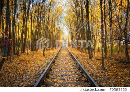 Beautiful railroad in autumn forest at sunset. Industrial 70565363