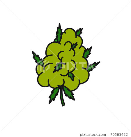 marijuana bud doodle icon, vector color 70565422