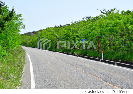 國道113號（新潟縣） 70565654