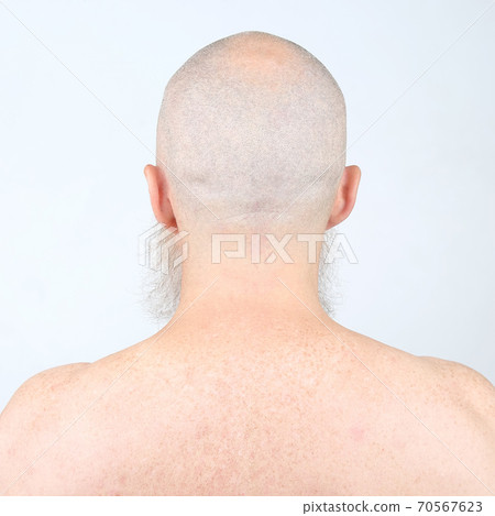 portrait of bald man with beard from back on light background 70567623