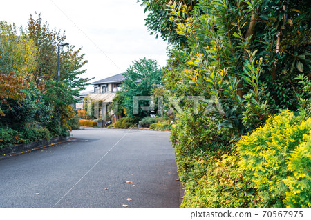 Tokyo: A green zone built in a residential area, a residential area blessed with an environment 70567975