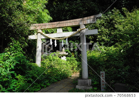 October Setagaya 191 Okamoto Hachiman Shrine 70568653