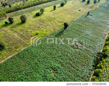 Large green farmland, Aerial photograph. 70568690