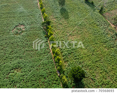 Large green farmland, Aerial photograph. Large green farmland, Aerial photograph. 70568693