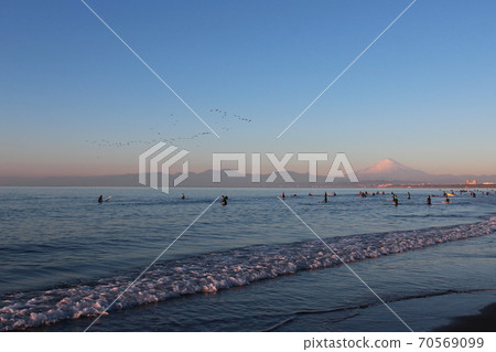湘南海鳥，衝浪者和富士山 70569099