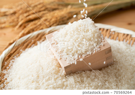 Rice and ear rice 70569264