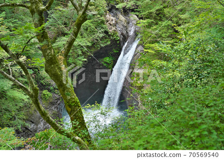 [Ogama Falls] Sawadani, Naka-cho, Naka-gun, Tokushima Prefecture 70569540