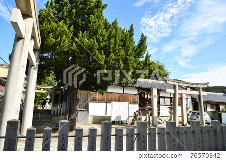 Kada Kasuga Shrine Kada Kasuga Shrine 70570842