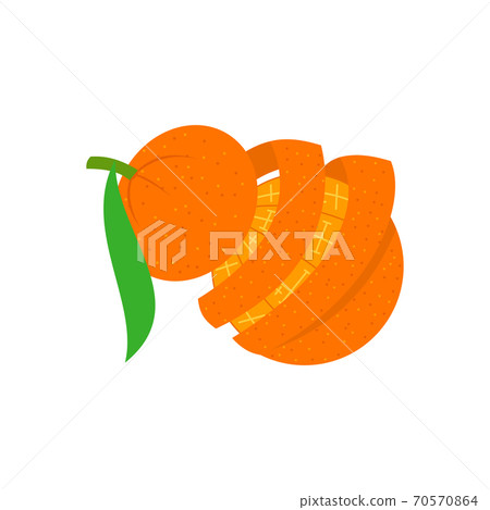 Orange Peel illustration Design Slice Part 70570864