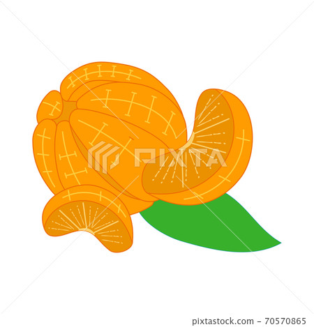 Orange without peel illustration Design Slice Part 70570865