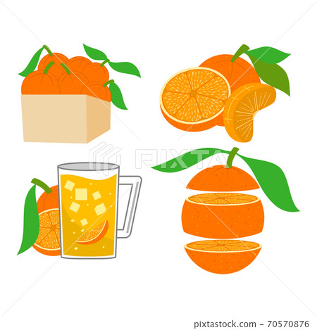 Orange illustration Design Slice Fruit Set 70570876