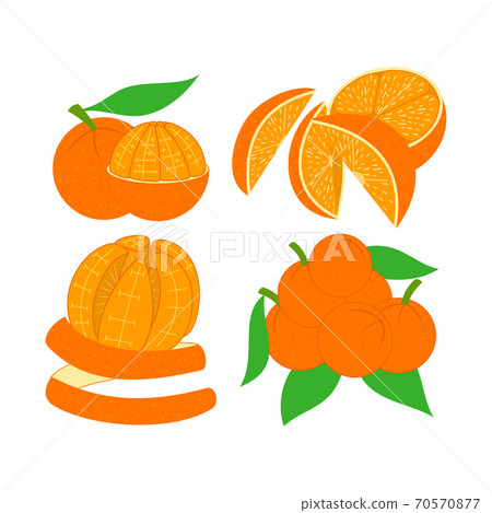 Orange illustration Design Slice Part Set 70570877