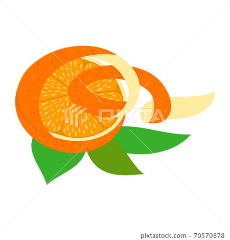 Orange Halves Peel illustration Design Slice Part 70570878