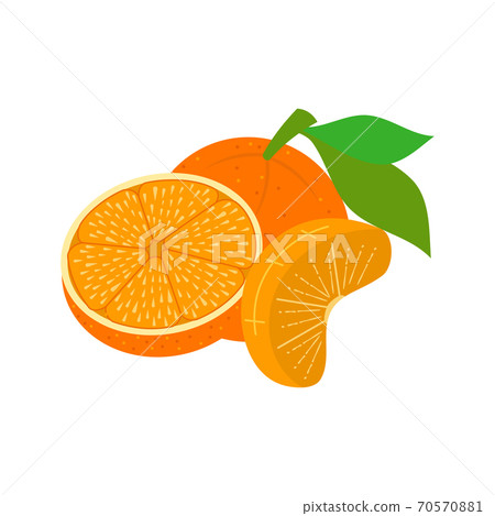Orange illustration Design Slice Part Piece 70570881