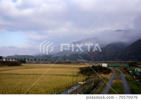 Kyoto Kameoka fog, mountains and fields late autumn Kyoto Kameoka fog, mountains and fields late autumn 70570976