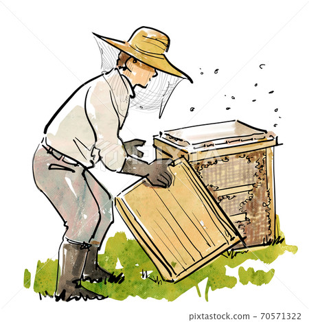 Beekeeper-Honeybee farming 70571322