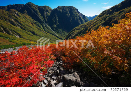 View of Nishidake and Akazawa from Yarisawa of rowan in autumn colors 70571769