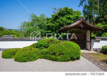 Fresh green of Shodenji, Kyoto Fresh green of Shodenji, Kyoto 70572864