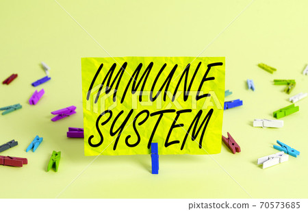 Text sign showing Immune System. Conceptual photo 70573685