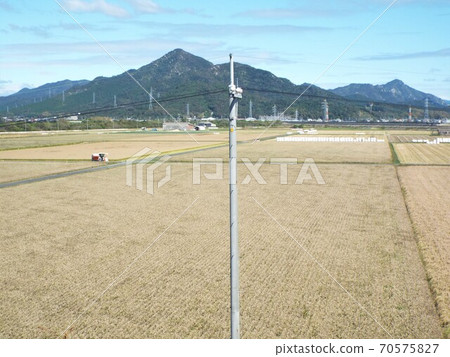 大農場 70575827