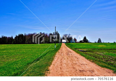 Prince Edward Island Country Road Prince Edward Island Country Road 70576116