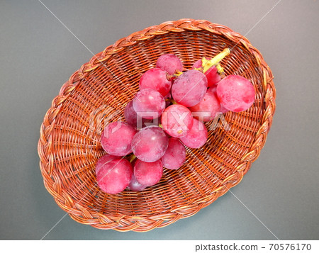 Grape Grape Grape Aki Queen Grape Grape Grape Aki Queen 70576170