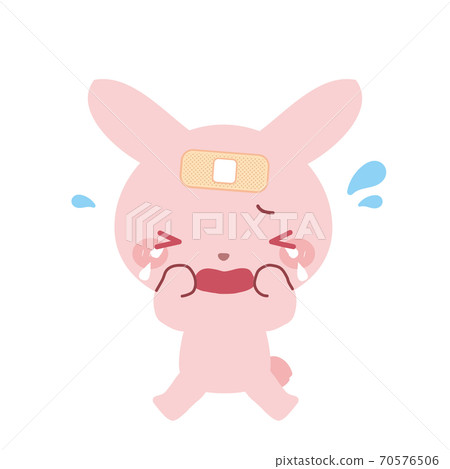 Rabbit who is injured and crying 70576506