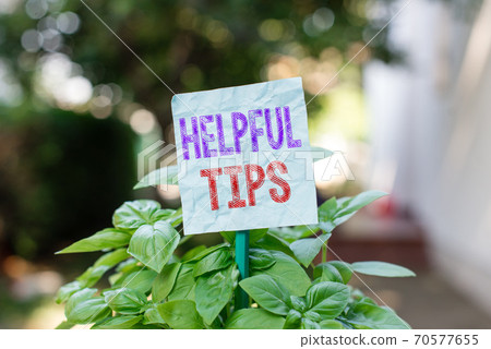 Word writing text Helpful Tips. Business concept 70577655