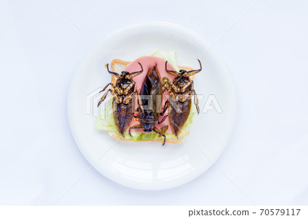 A big beetle on toast on a plate. Offer of edible insects - fried cockroach on sandwich toast A big beetle on toast on a plate. Offer of edible insects - fried cockroach on sandwich toast 70579117