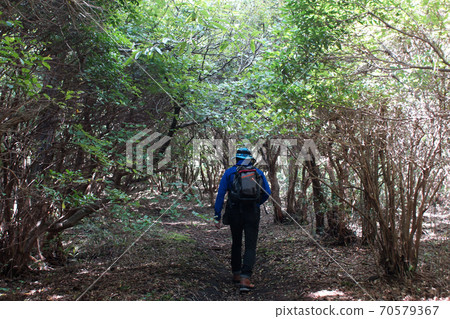 九州百座名山“倉岳”是家庭登山和遠足的熱門登山路線 70579367