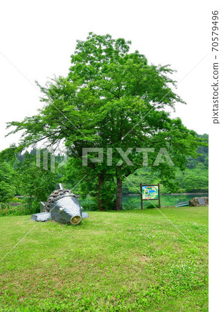 Takanaminoike Campground (Niigata Prefecture) Takanaminoike Campground (Niigata Prefecture) 70579496